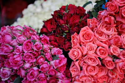 Close-up of various rose bouquet on display