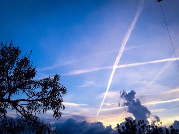 Low angle view of trees against blue sky