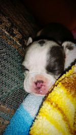 Close-up of a young woman sleeping