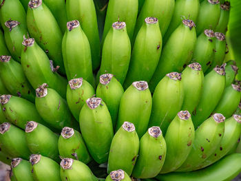 Full frame shot of green bananas 
