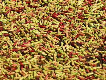 Full frame shot of leaves
