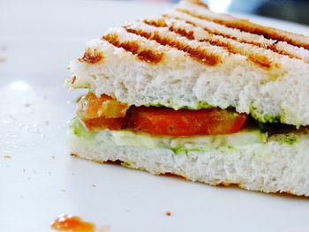 Close-up of grilled sandwich served in plate