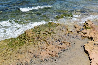 High angle view of beach