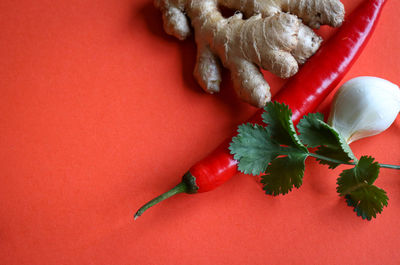 High angle view of fruits on table