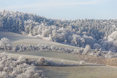 winter