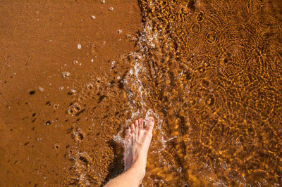 Close-up of human feet in water