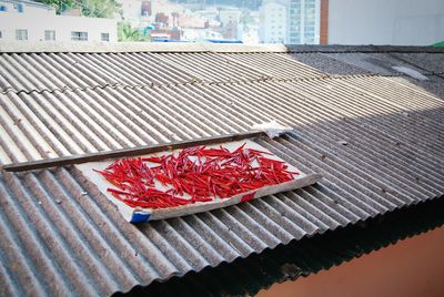 Close-up of red chili peppers