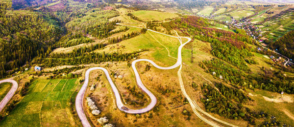 High angle view of road amidst trees