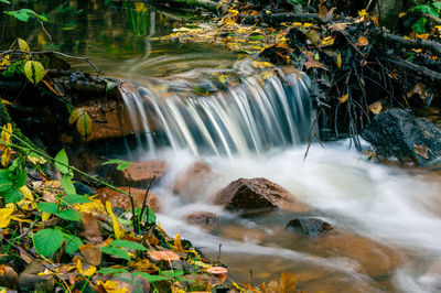 Scenic view of waterfall in forest