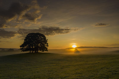 Scenic view of field against sky during sunset