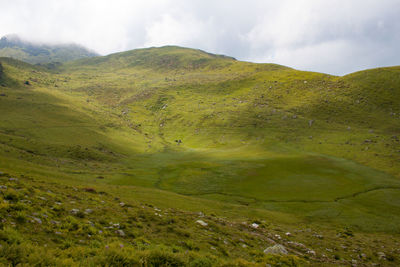 Scenic view of landscape against sky