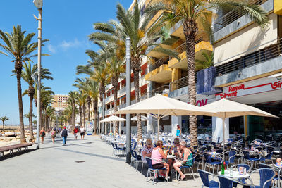 Group of people on palm tree