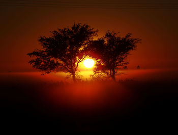 Silhouette tree against orange sky