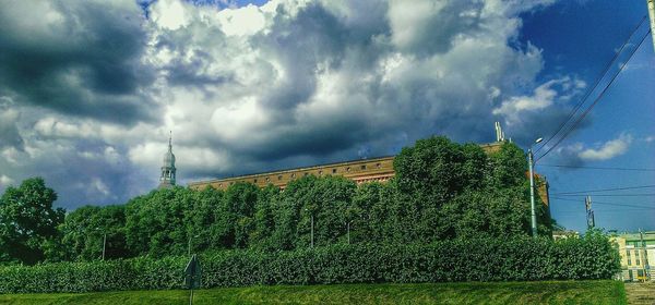 Trees on field against cloudy sky