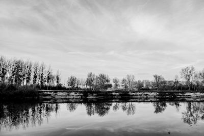 Reflection of trees in lake