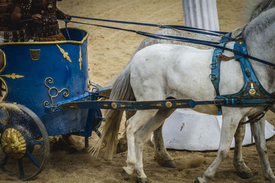 Close-up of horse cart