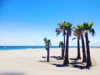 Palm trees on beach against clear blue sky