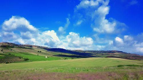 Scenic view of agricultural field against sky