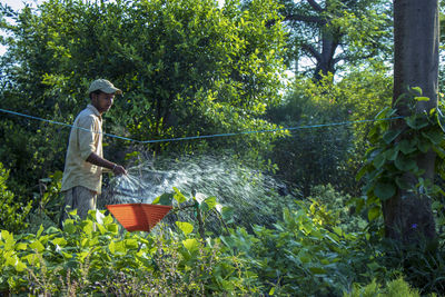 Side view of a man holding plants