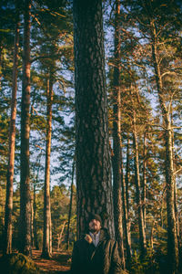 Trees in forest