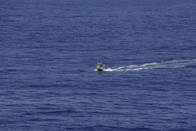 View of a bird in the sea