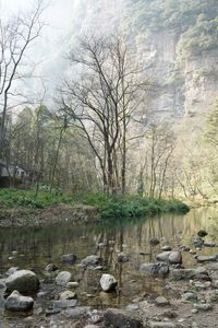 Reflection of bare trees in river against sky