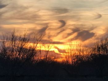 Silhouette bare trees against sky during sunset