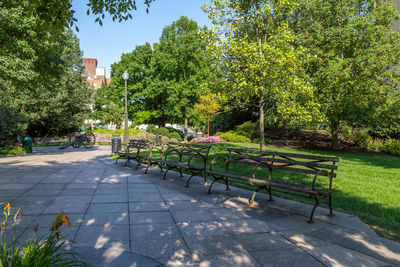 Footpath amidst trees in park