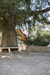 Empty bench in park