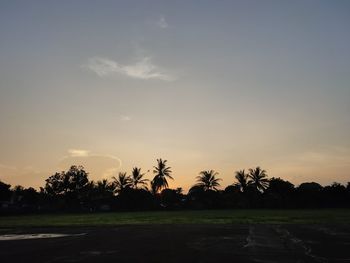 Silhouette trees on field against sky at sunset