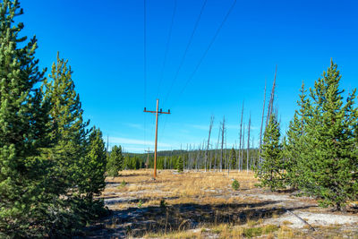 Electricity pylon on field against blue sky