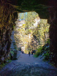 Road amidst rocks and trees