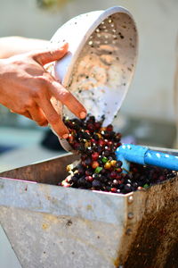 Close-up of hand holding fruit