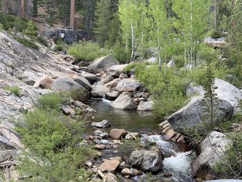 Stream flowing through rocks in forest