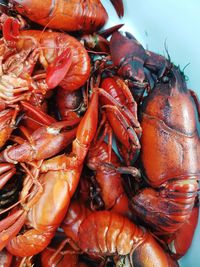 High angle close-up of crayfish in bowl