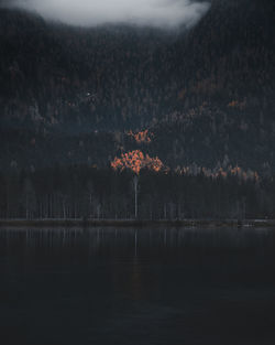 Scenic view of lake by trees at dusk