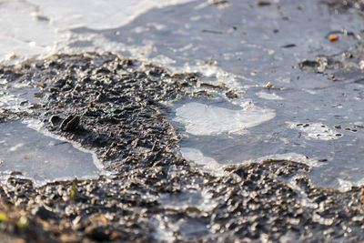 Full frame shot of frozen water on land