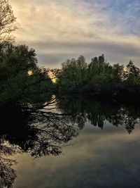 Reflection of trees in lake against sky