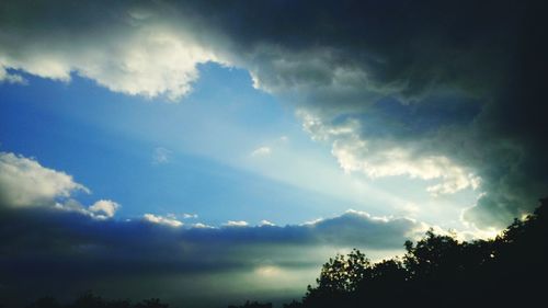 Low angle view of trees against cloudy sky