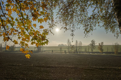 Trees on field against sky during autumn