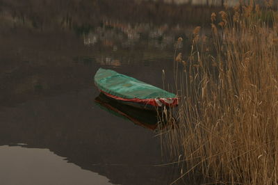 Scenic view of lake