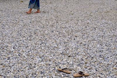 Low section of person standing on beach