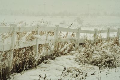 Snow covered landscape