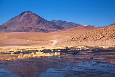 Scenic view of desert against clear blue sky