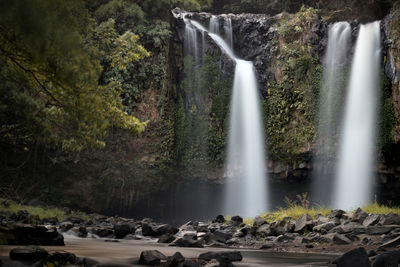 Scenic view of waterfall in forest