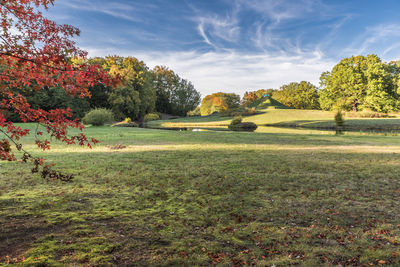 Trees on field against sky during autumn