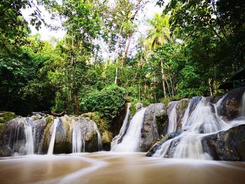 Scenic view of waterfall in forest