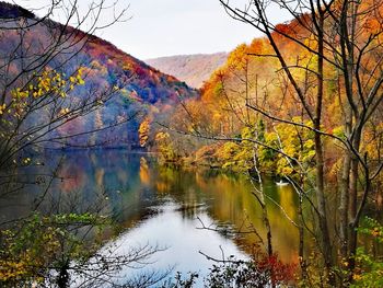 Scenic view of lake by trees against sky