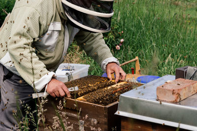 Midsection of man working at farm