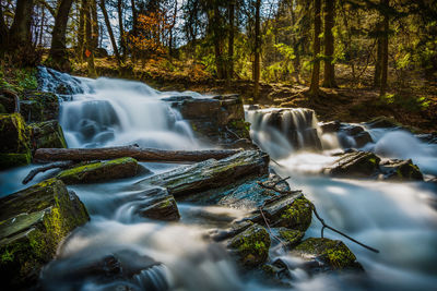 View of waterfall in forest